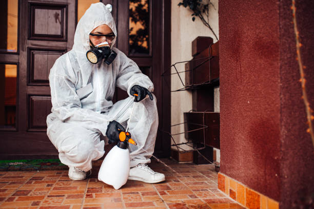 Attic and Crawl Space Rodent Treatment in Belle Isle